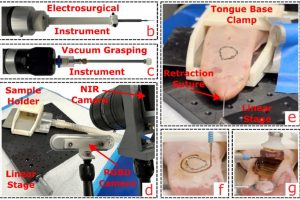 Images of the (b) monopolar electrosurgical instrument, (c) vacuum grasping instrument, d) dual-camera vision system, sample holder, grounding pad, smoke evacuation tube, linear motion stage, and (e) simulated clinical setting featuring a porcine tongue specimen stretched using retraction sutures. The close views during the (f) surface incision, and (g) deep margin dissection for a pseudotumor on a porcine tongue tissue.